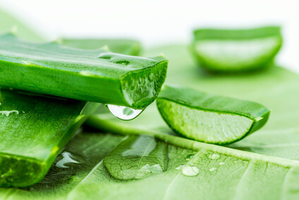 aloe vera cheveux bio