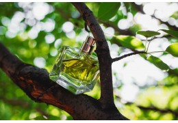 Les 15 meilleurs parfums pour femme 100 % naturels