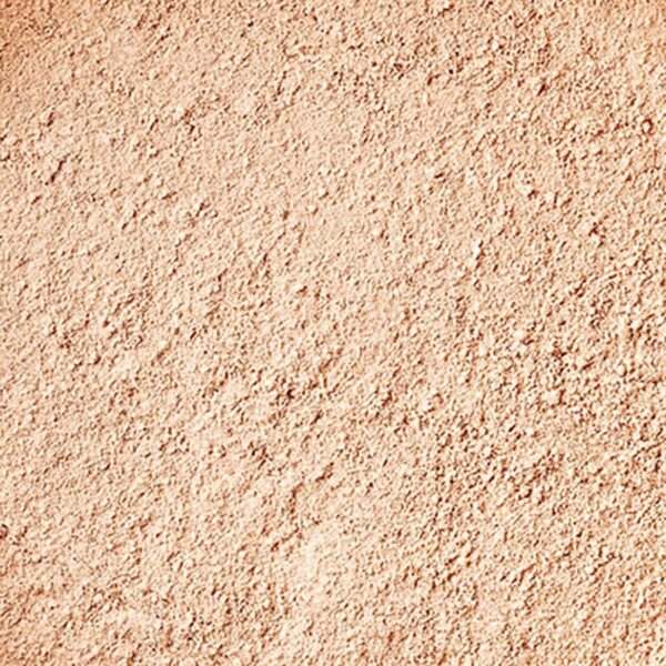 fond de teint poudre 100% bio rechargeable beige clair N° 501