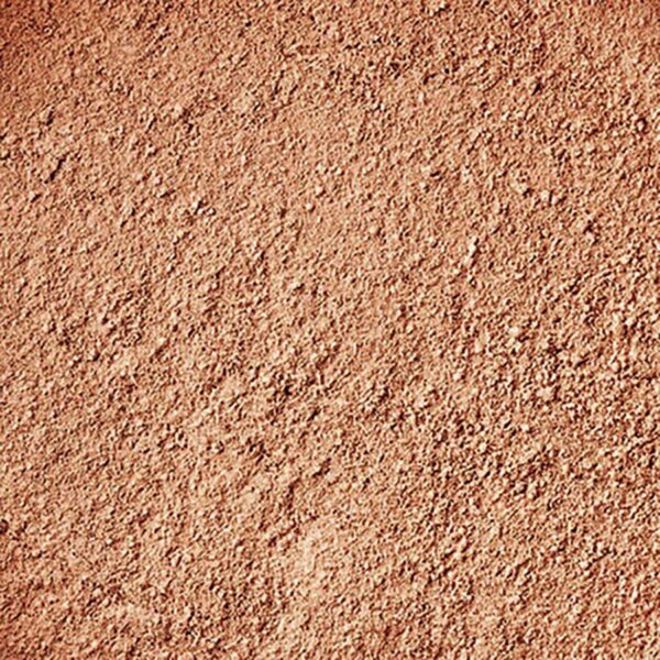 fond de teint poudre bio et vegan beige noisette N° 505