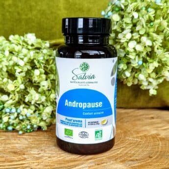 Confort urinaire masculin : Salvia Nutrition
