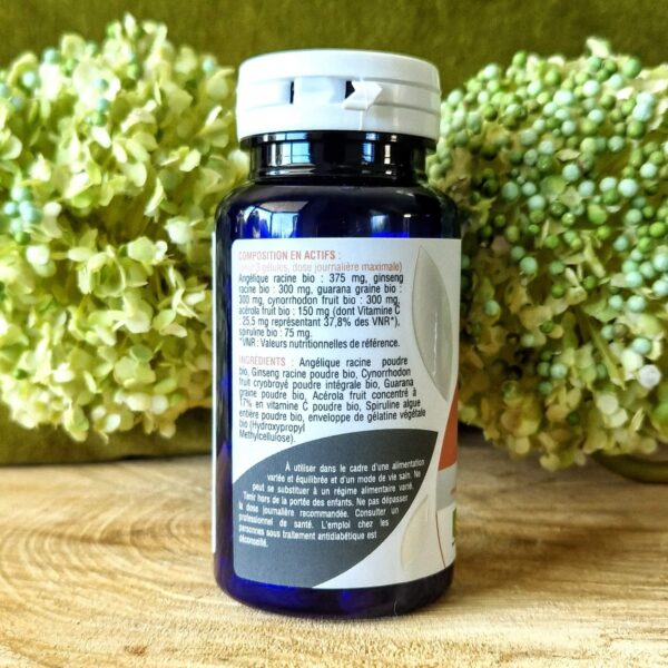 Fatigue mentale et physique : Salvia Nutrition – Image 2