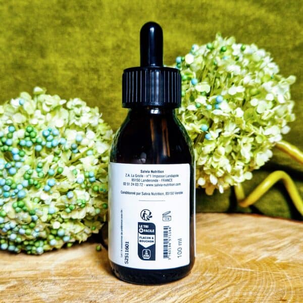 Huile végétale d'Argan Bio : Salvia Nutrition – Image 3