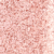 272 Rose féérique