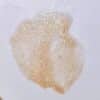 Huile sèche sublimatrice éclat nacré corps et visage : Beauté Simple – Image 7